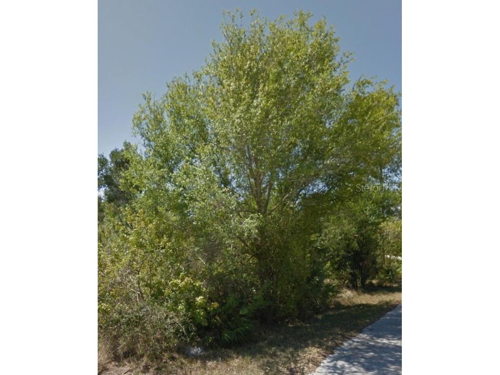 23509 Branch Avenue Punta Gorda FL 33980 C7502582 image3