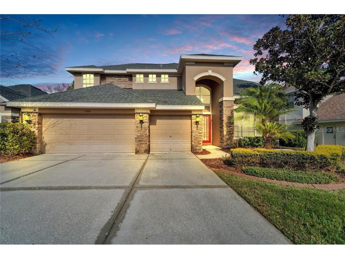 23509 Vistamar Ct Land O Lakes FL 34639 TB8333775 image1