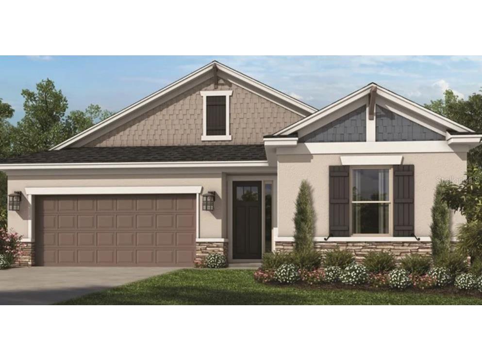 2351 Caribe Court Wesley Chapel FL 33543 A4534490 image1