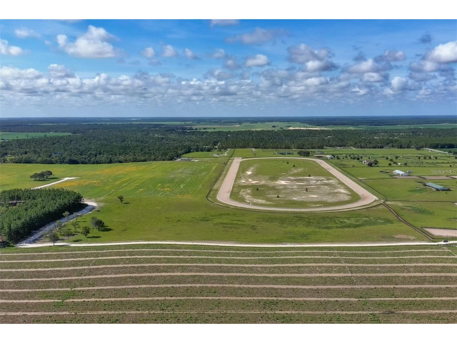 2351 NE 120 Avenue Williston FL 32696 OM724384 image12