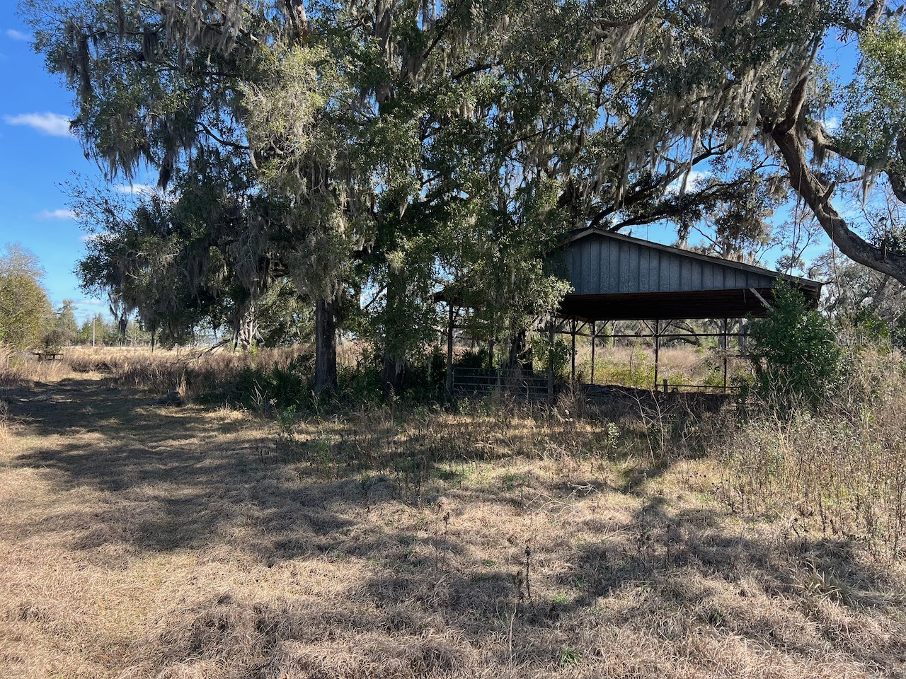 2351 NE Highway 41 Williston FL 32696 OM719626 image1