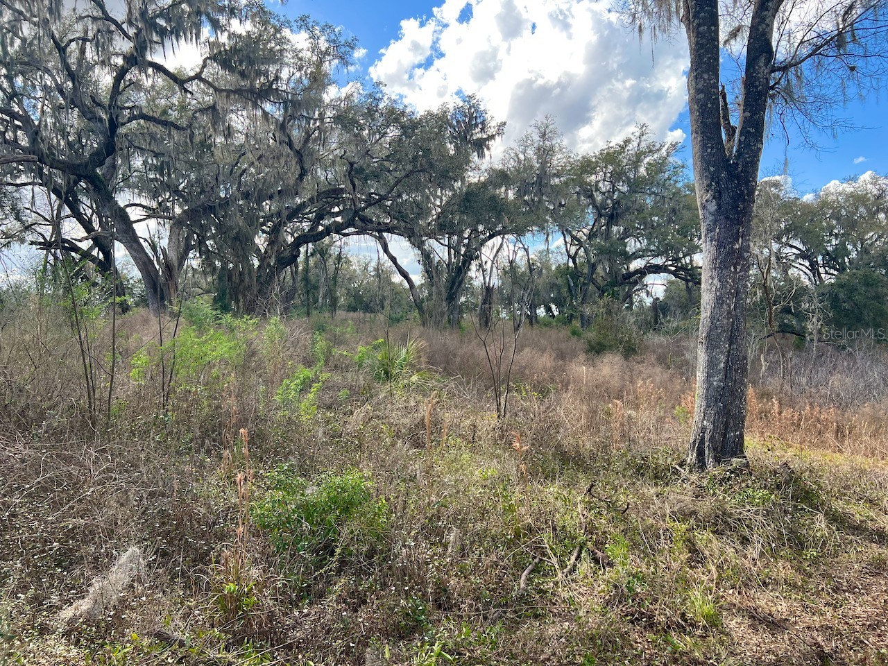 2351 NE Highway 41 Williston FL 32696 OM719626 image10