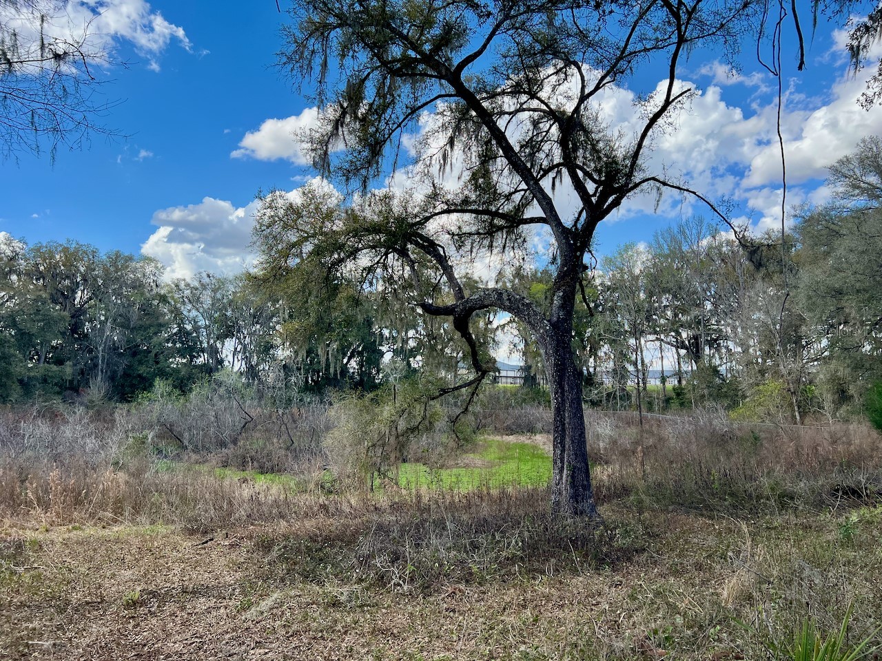 2351 NE Highway 41 Williston FL 32696 OM719626 image11