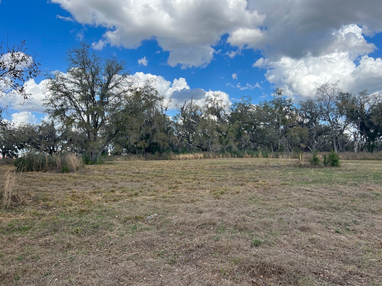 2351 NE Highway 41 Williston FL 32696 OM719626 image15