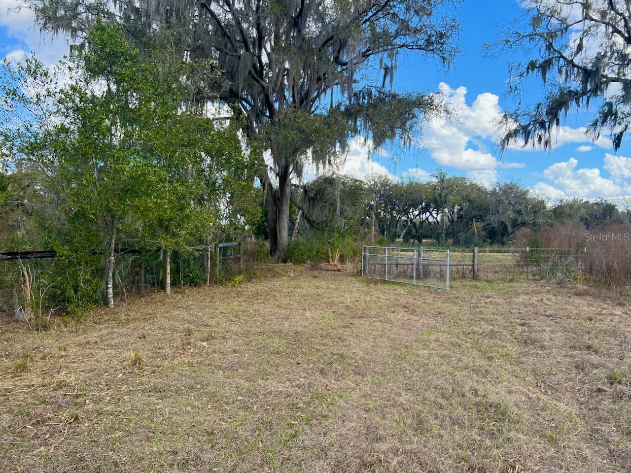 2351 NE Highway 41 Williston FL 32696 OM719626 image16