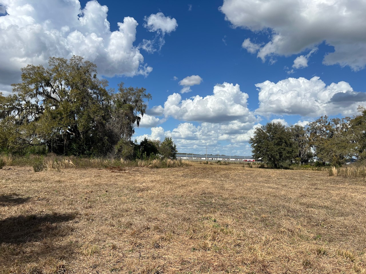 2351 NE Highway 41 Williston FL 32696 OM719626 image18