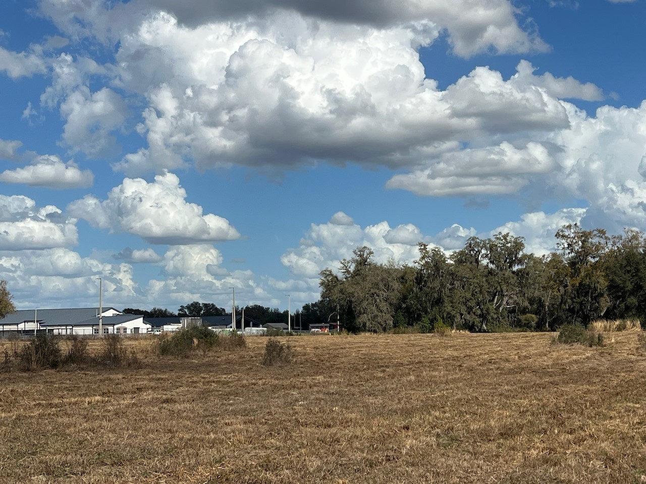 2351 NE Highway 41 Williston FL 32696 OM719626 image19