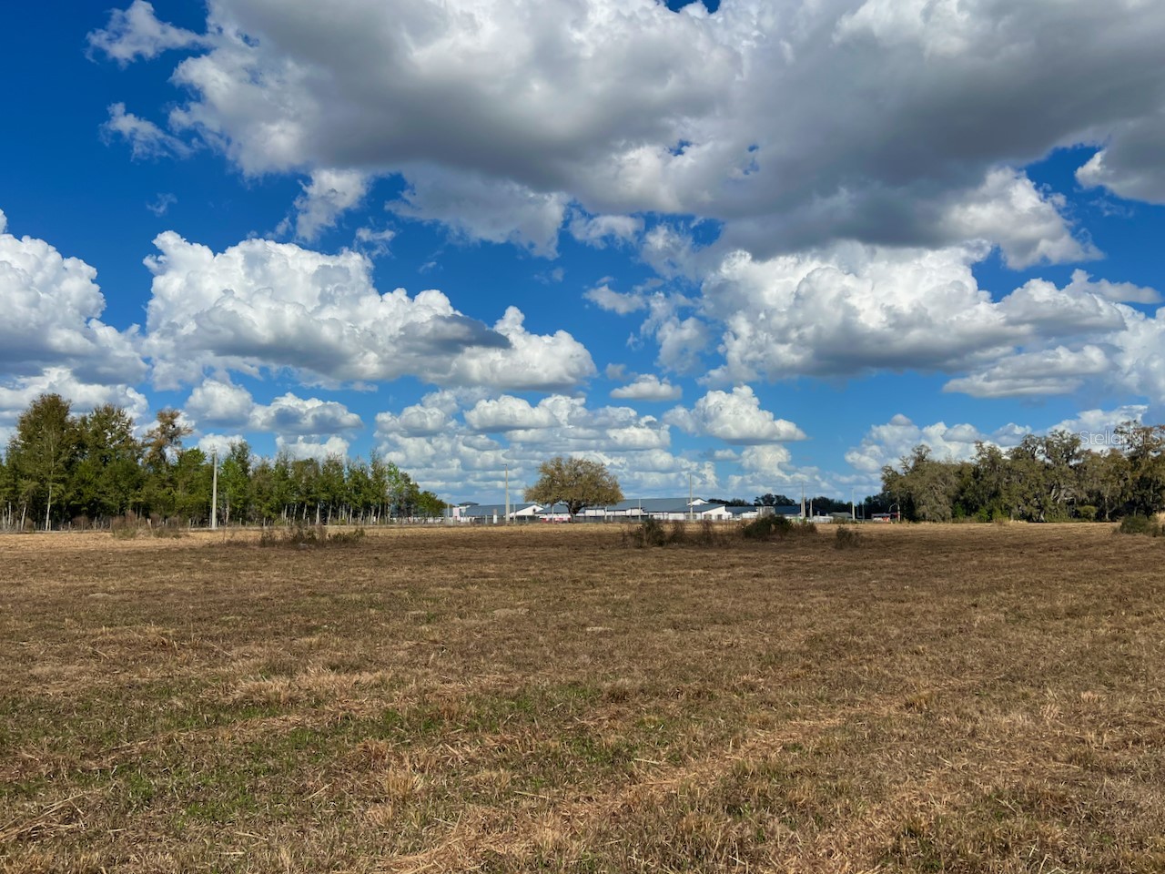 2351 NE Highway 41 Williston FL 32696 OM719626 image20