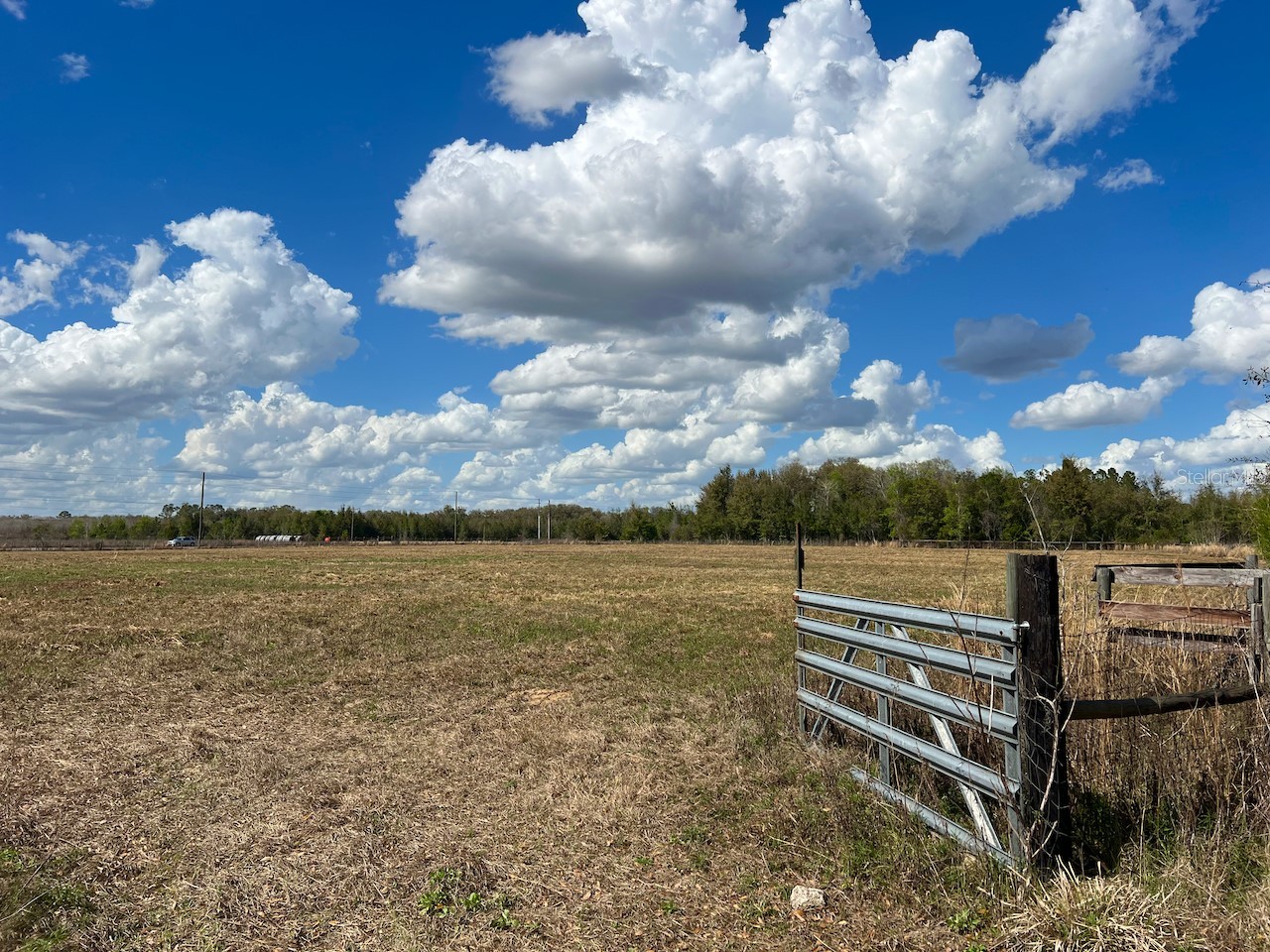 2351 NE Highway 41 Williston FL 32696 OM719626 image21