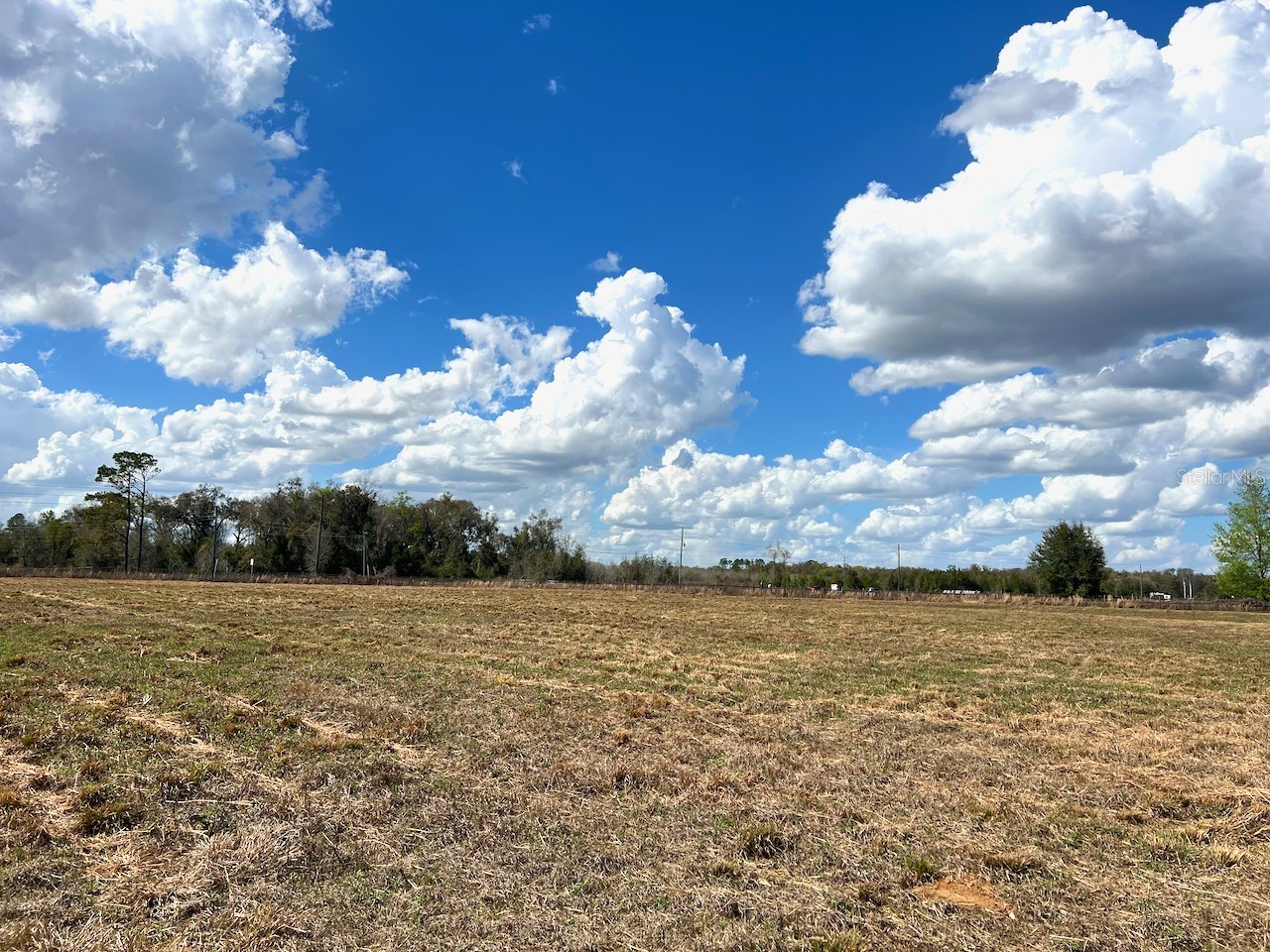 2351 NE Highway 41 Williston FL 32696 OM719626 image23