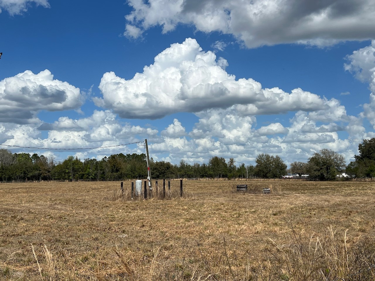 2351 NE Highway 41 Williston FL 32696 OM719626 image26