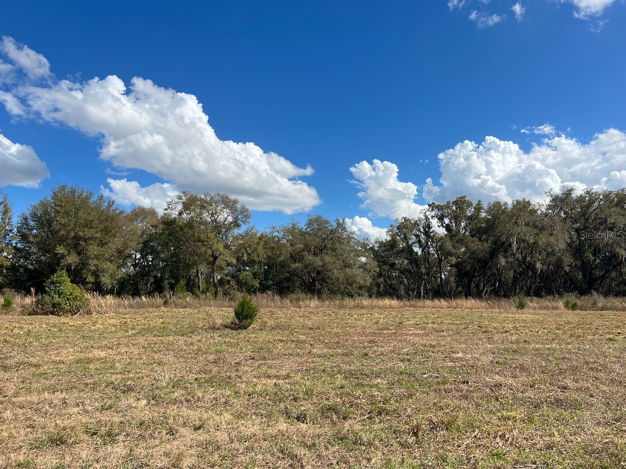 2351 NE Highway 41 Williston FL 32696 OM719626 image5
