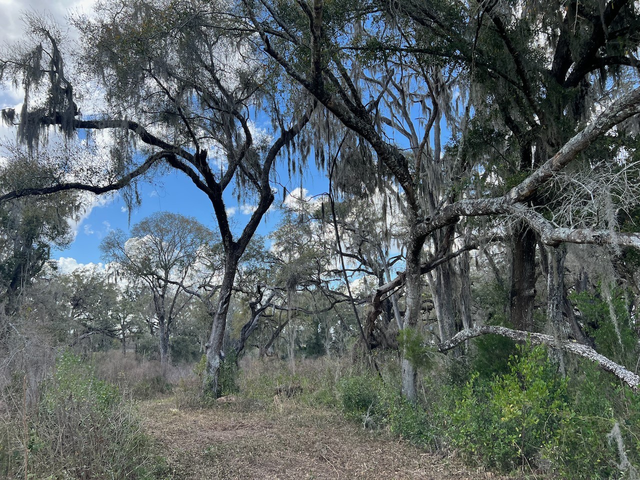 2351 NE Highway 41 Williston FL 32696 OM719626 image6