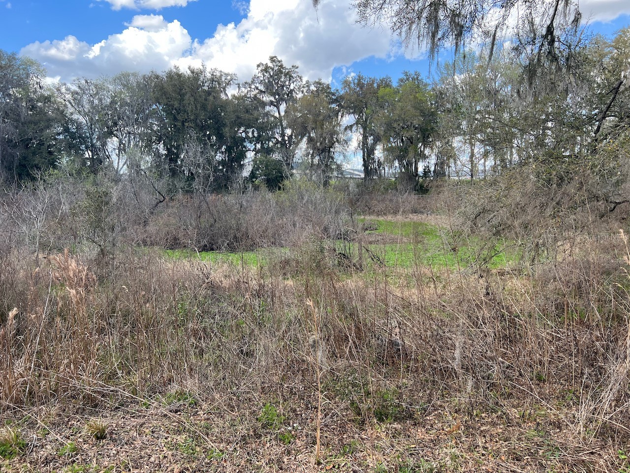 2351 NE Highway 41 Williston FL 32696 OM719626 image9