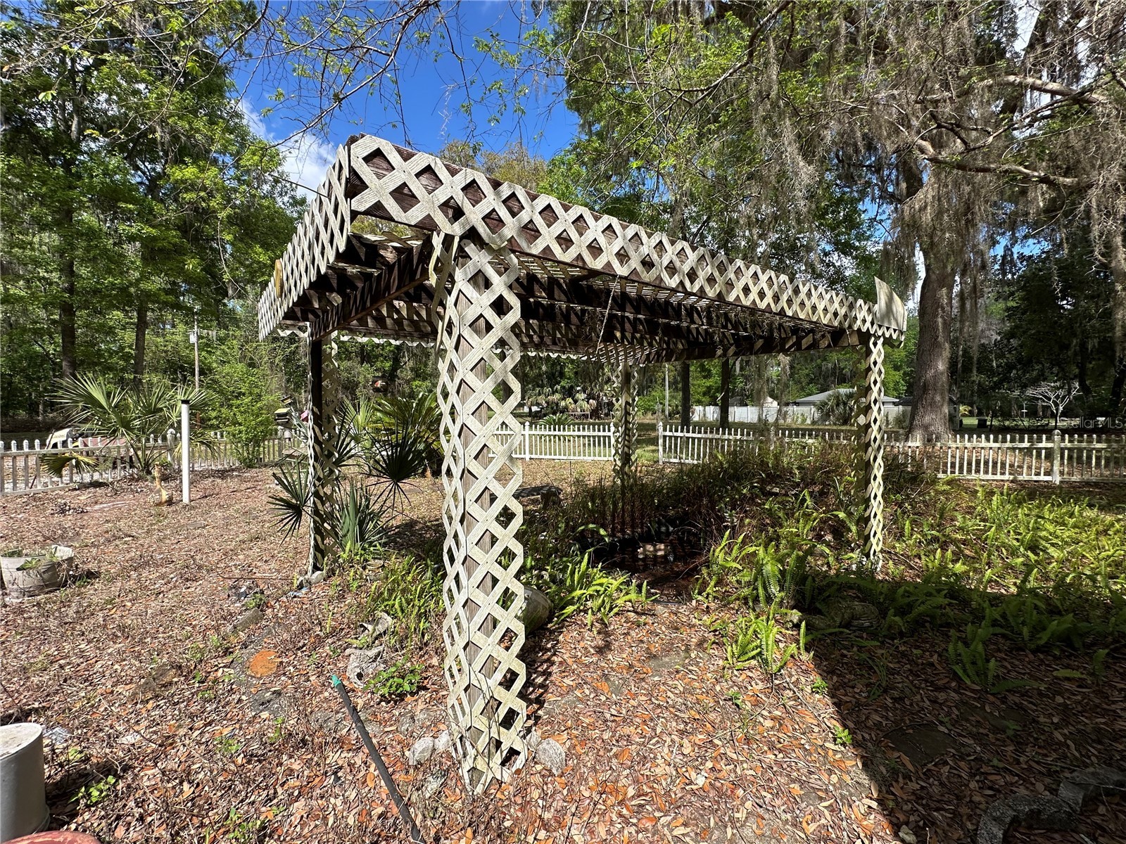 2351 NW 186th Lane Citra FL 32113 OM720780 image4