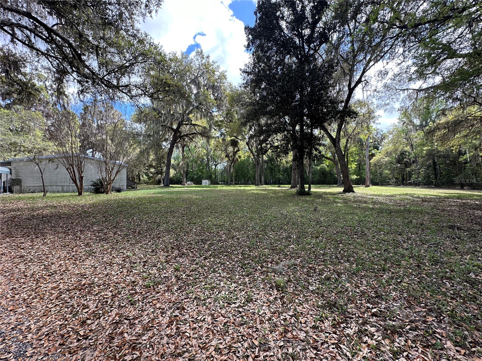 2351 NW 186th Lane Citra FL 32113 OM720780 image5