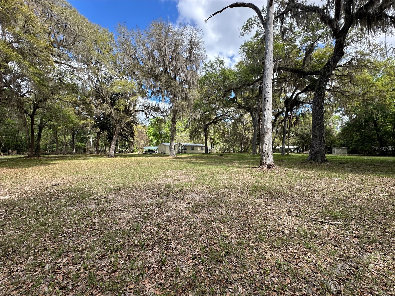 2351 NW 186th Lane Citra FL 32113 OM720780 image6