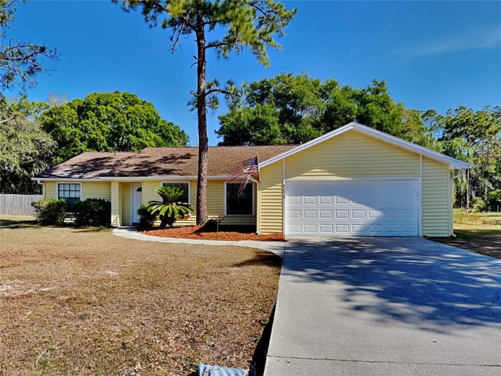 23515 Shining Star Drive Land O Lakes FL 34639 T3441013 image1