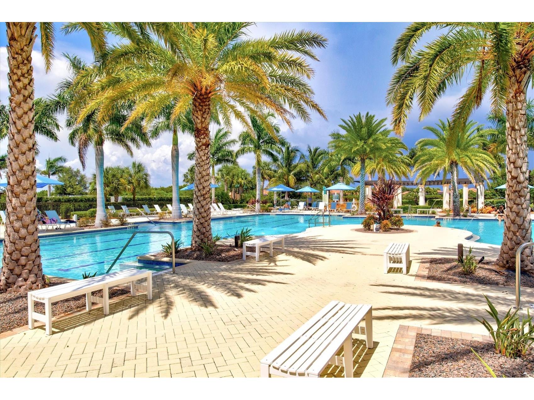 23516 Awabuki Drive #201 Venice FL 34293 N6142603 image66