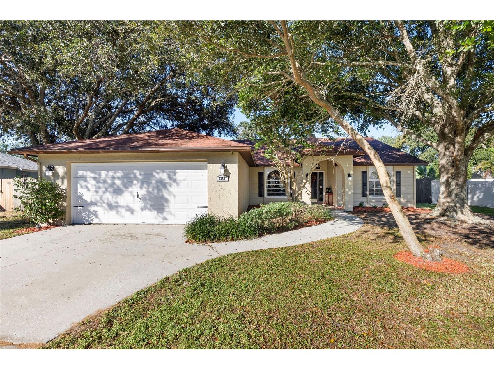 23517 Bellaire Loop Land O Lakes FL 34639 TB8436016 image1