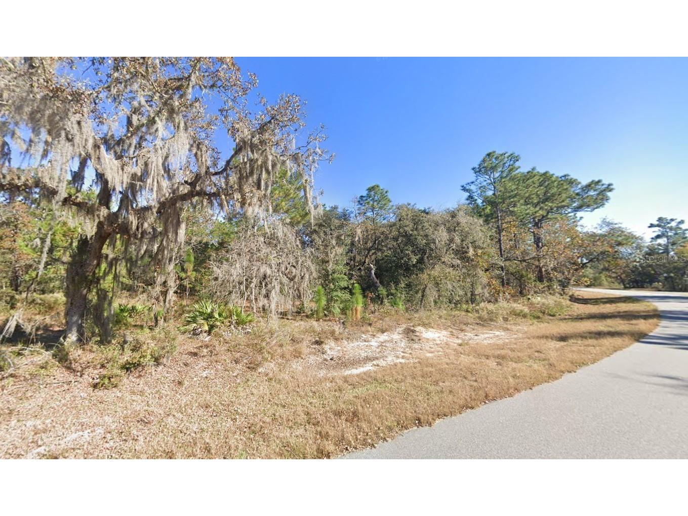 2352 County Road 243b Wildwood FL 34785 O6390789 image1