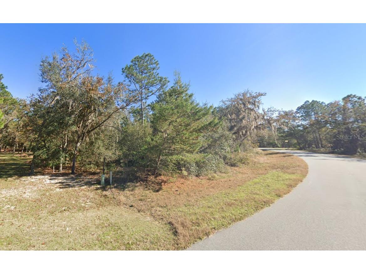 2352 County Road 243b Wildwood FL 34785 O6390789 image2