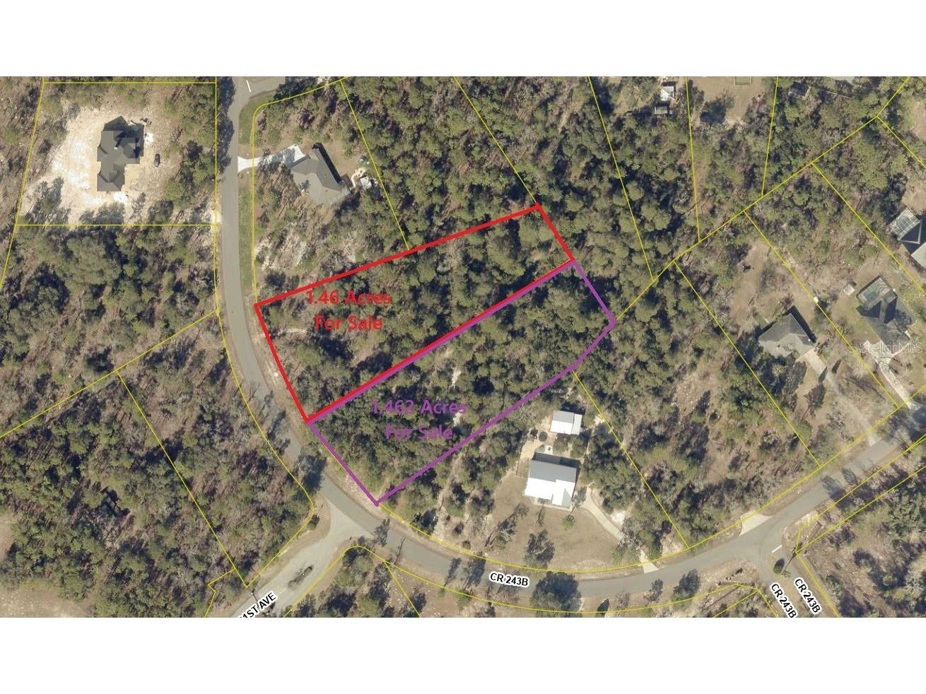 2352 County Road 243b Wildwood FL 34785 O6390789 image3