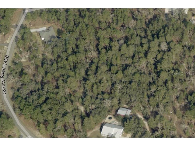 2352 County Road 243b Wildwood FL 34785 O6390789 image4