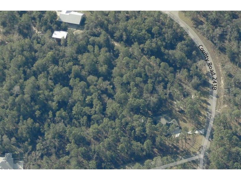 2352 County Road 243b Wildwood FL 34785 O6390789 image6