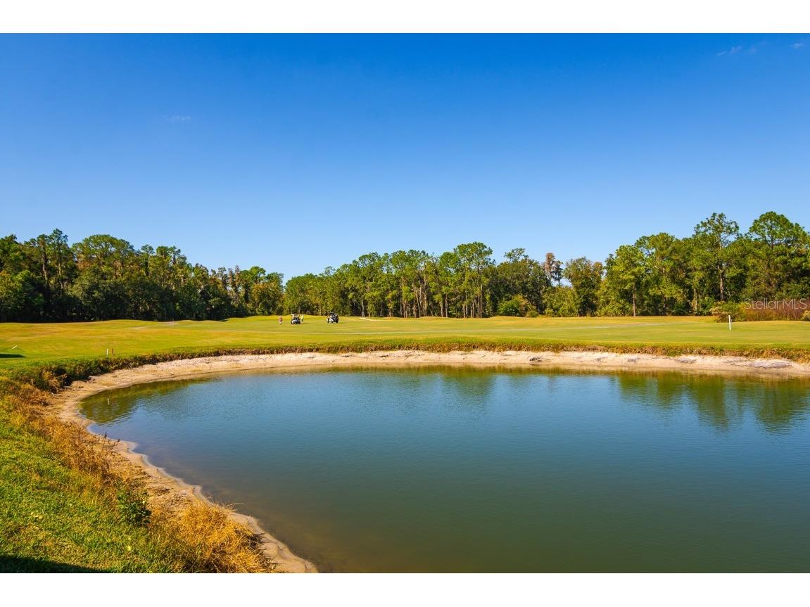 2352 Peavine Circle #1016 Lakeland FL 33810 TB8445301 image29