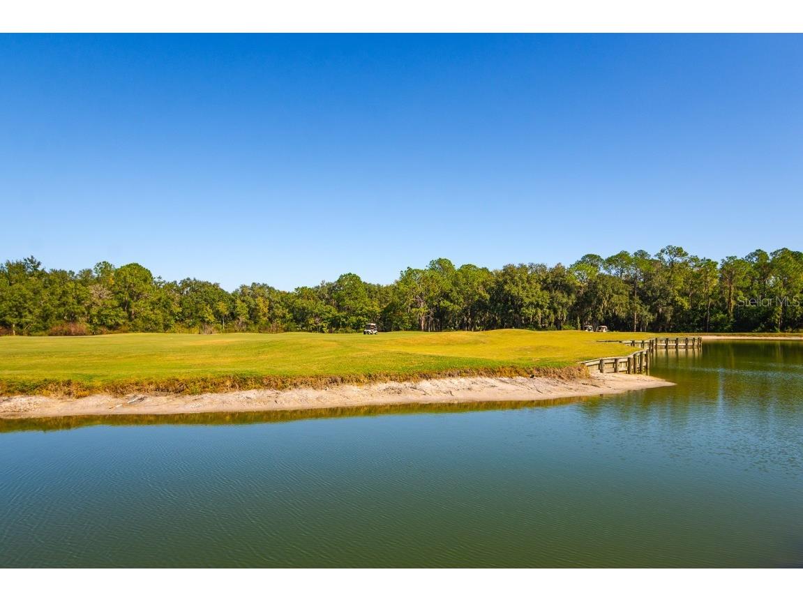 2352 Peavine Circle #1016 Lakeland FL 33810 TB8445301 image30