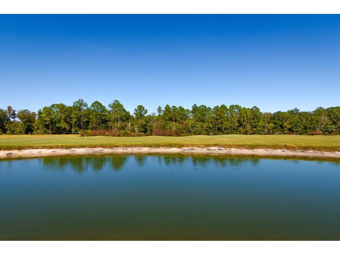 2352 Peavine Circle #1016 Lakeland FL 33810 TB8445301 image35