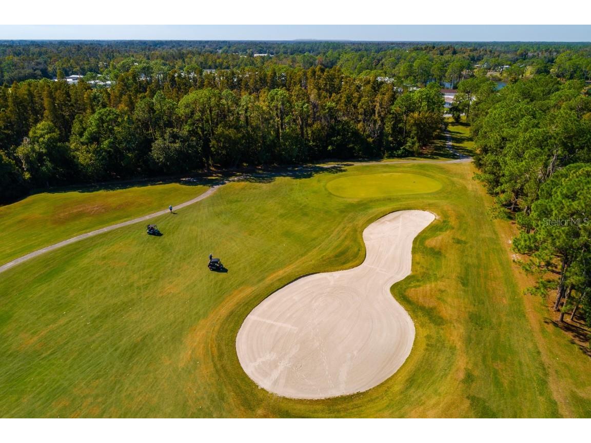 2352 Peavine Circle #1016 Lakeland FL 33810 TB8445301 image36