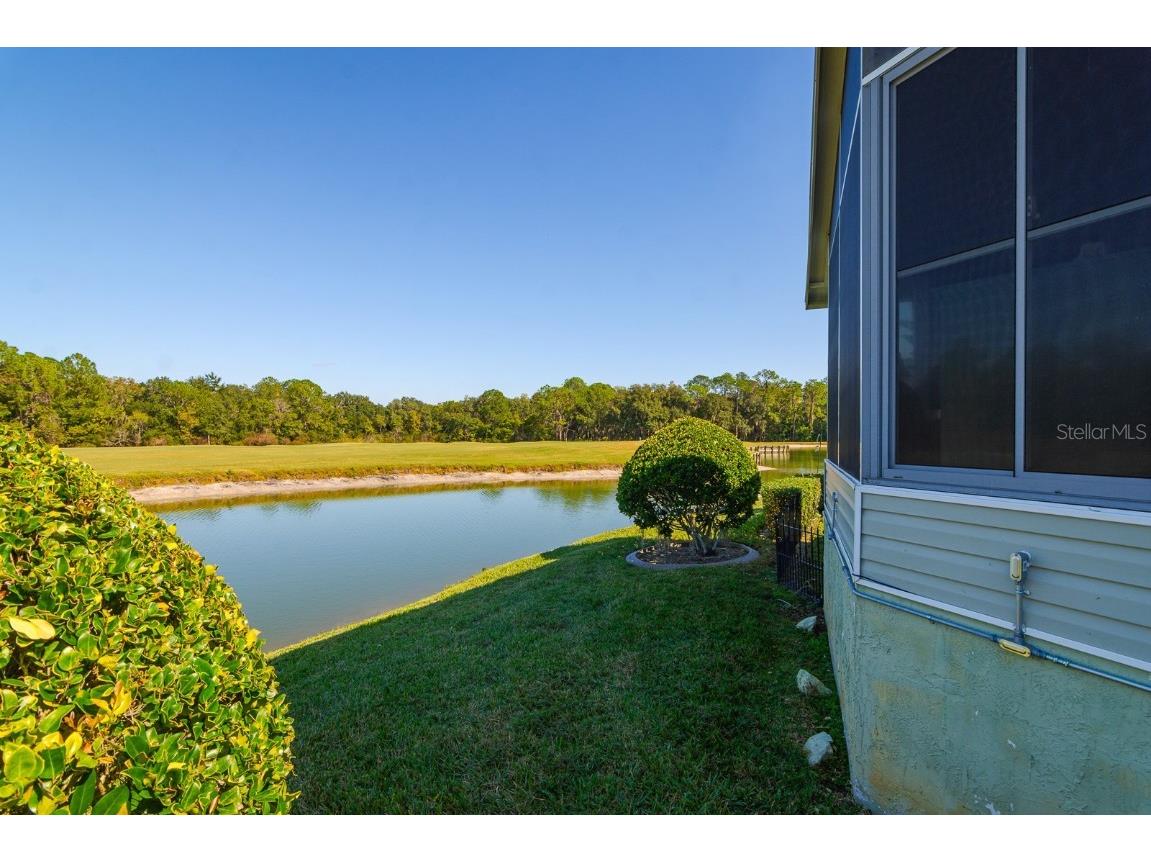 2352 Peavine Circle #1016 Lakeland FL 33810 TB8445301 image39