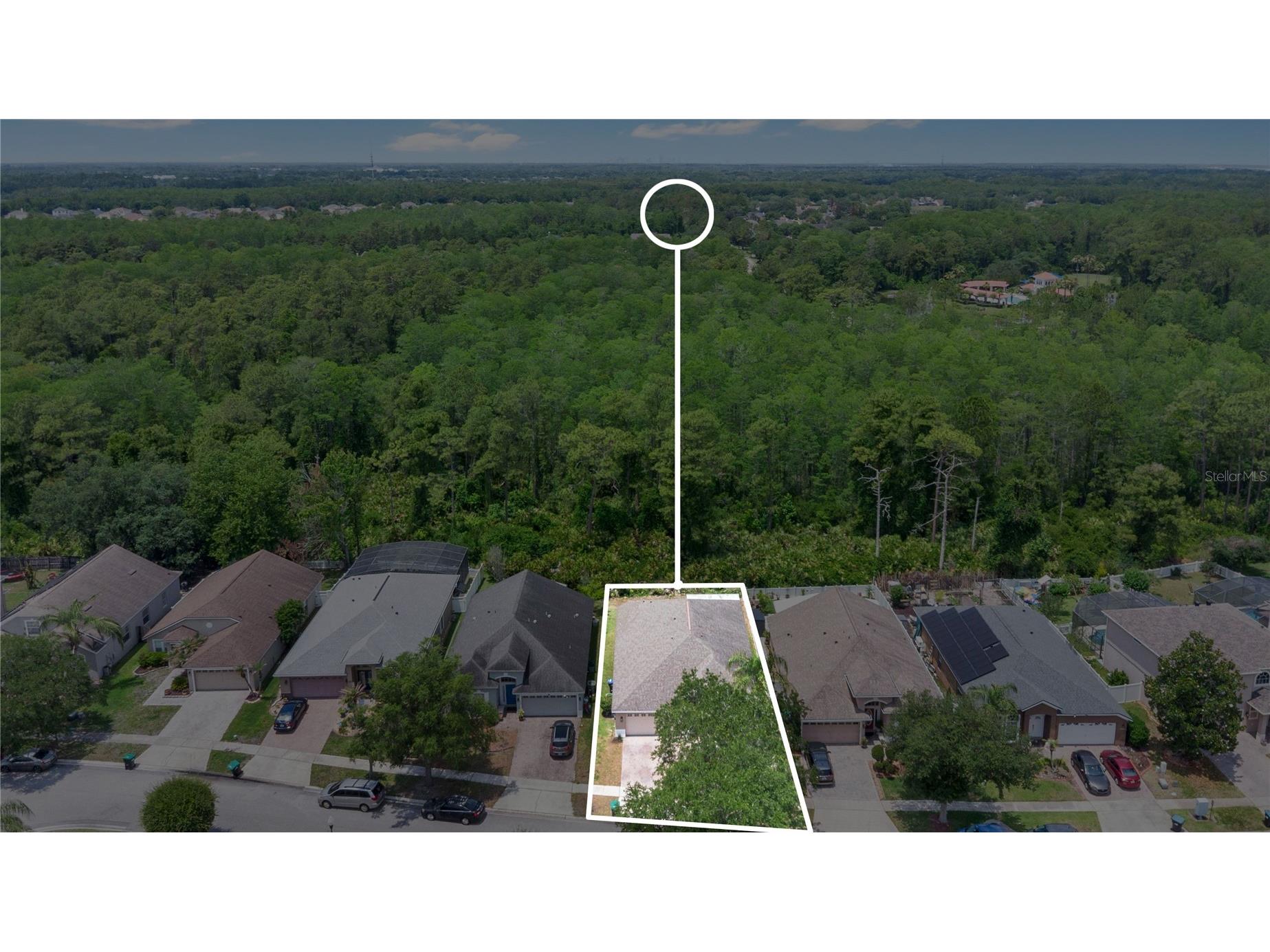 2352 Twilight Drive Orlando FL 32825 O6408065 image38