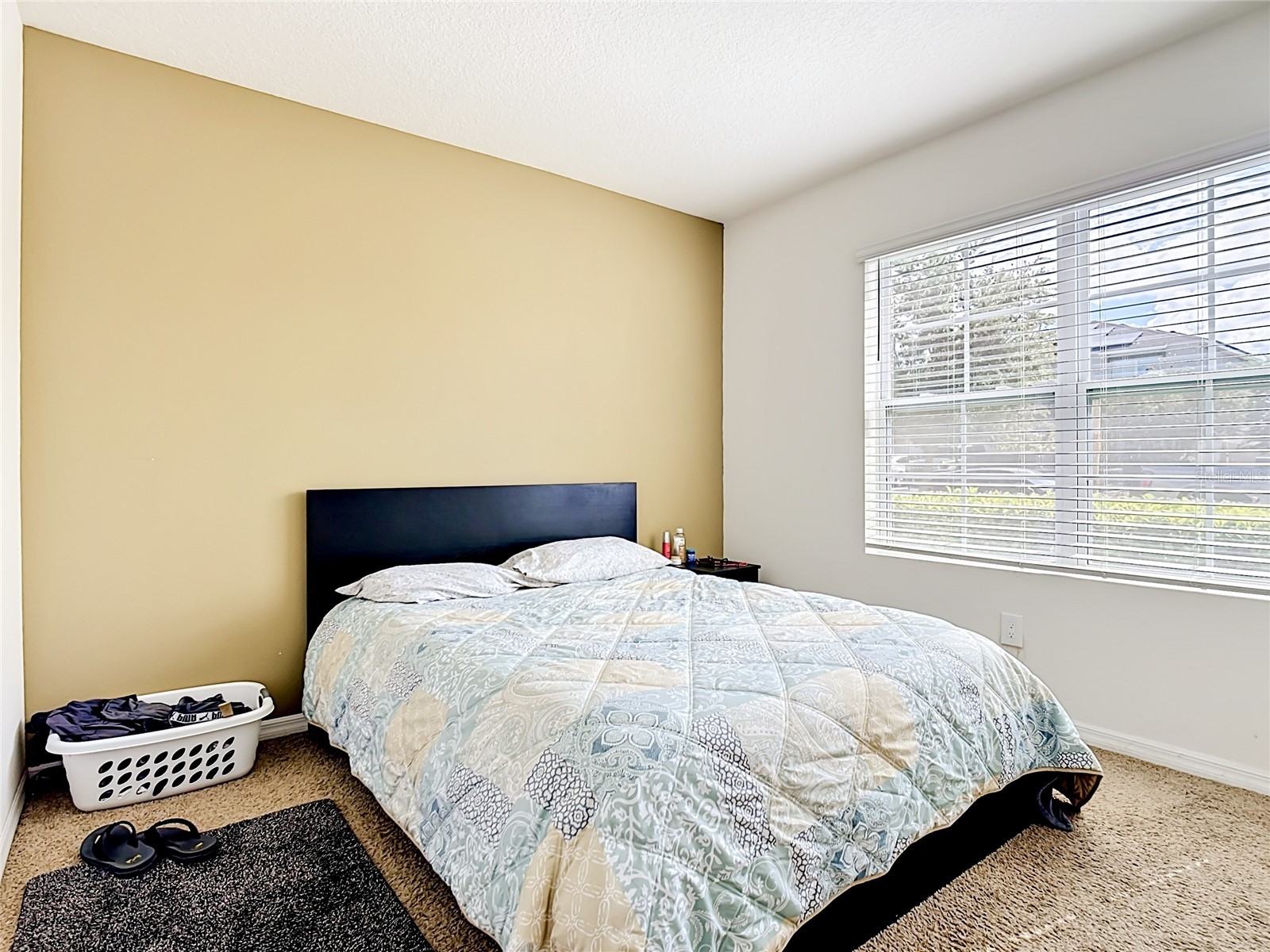 2352 White Poppy Drive Kissimmee FL 34747 O6402216 image10