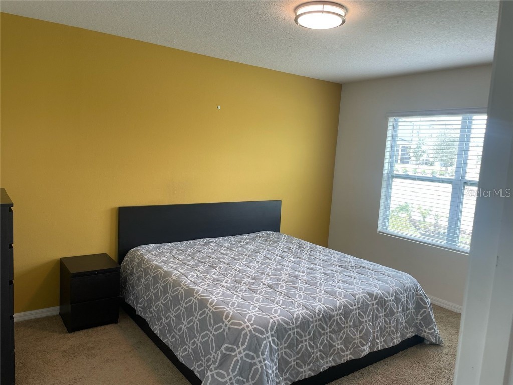 2352 White Poppy Drive Kissimmee FL 34747 S5134364 image18