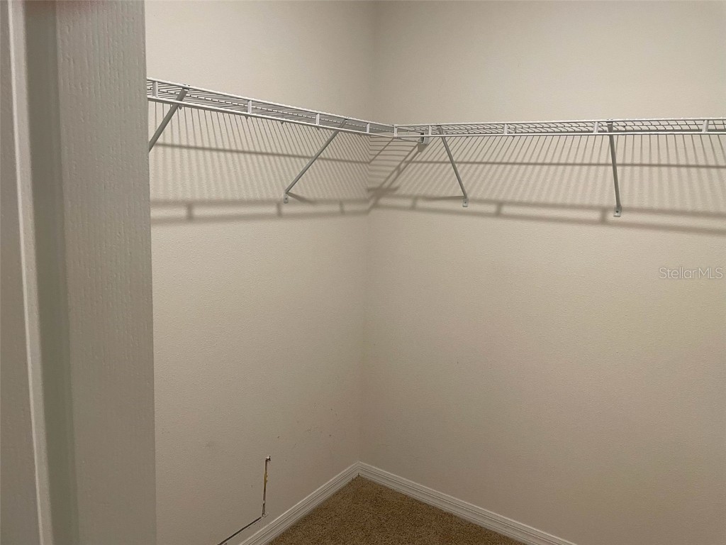 2352 White Poppy Drive Kissimmee FL 34747 S5134364 image21