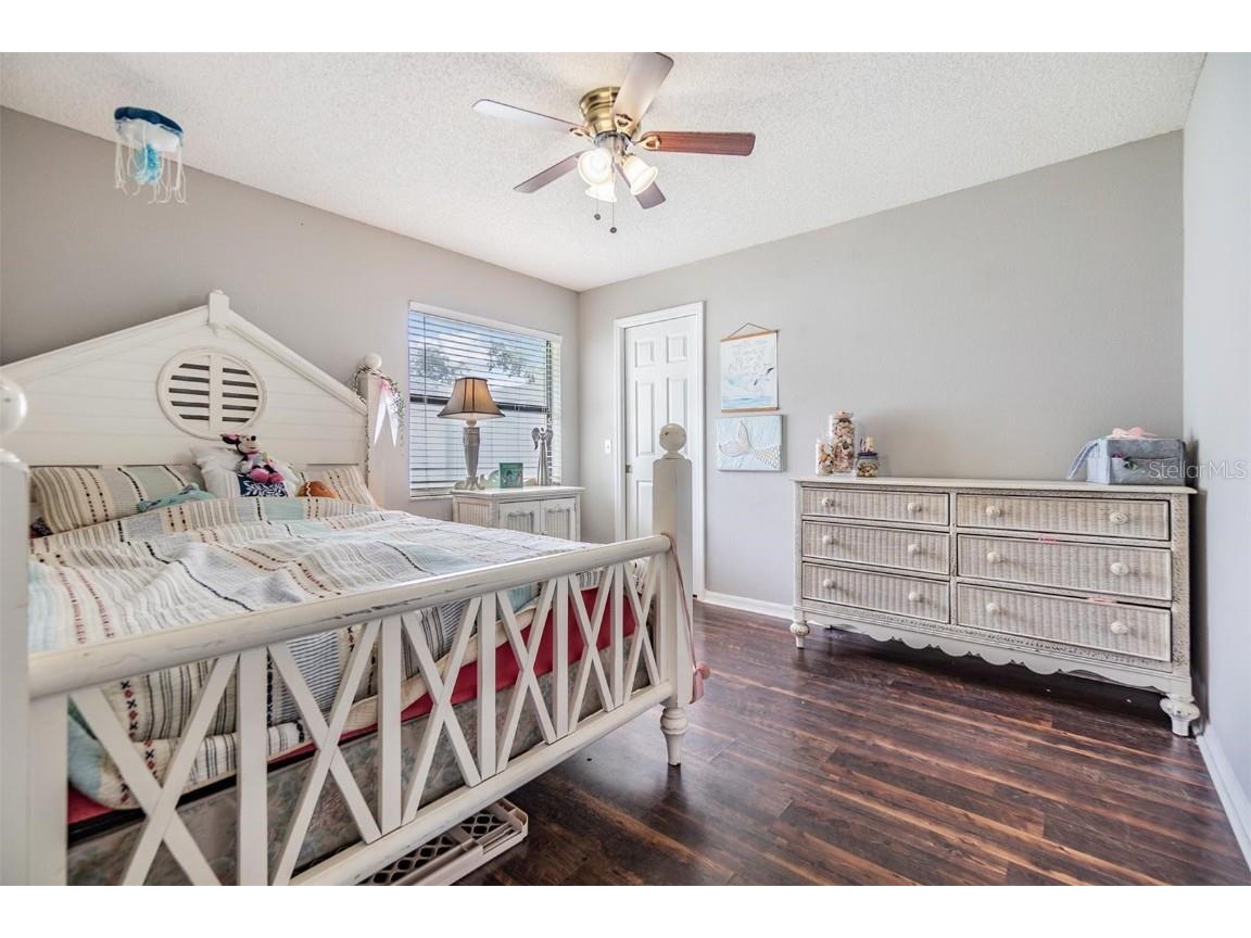 23526 Pine Lake Street Land O Lakes FL 34639 TB8449691 image13