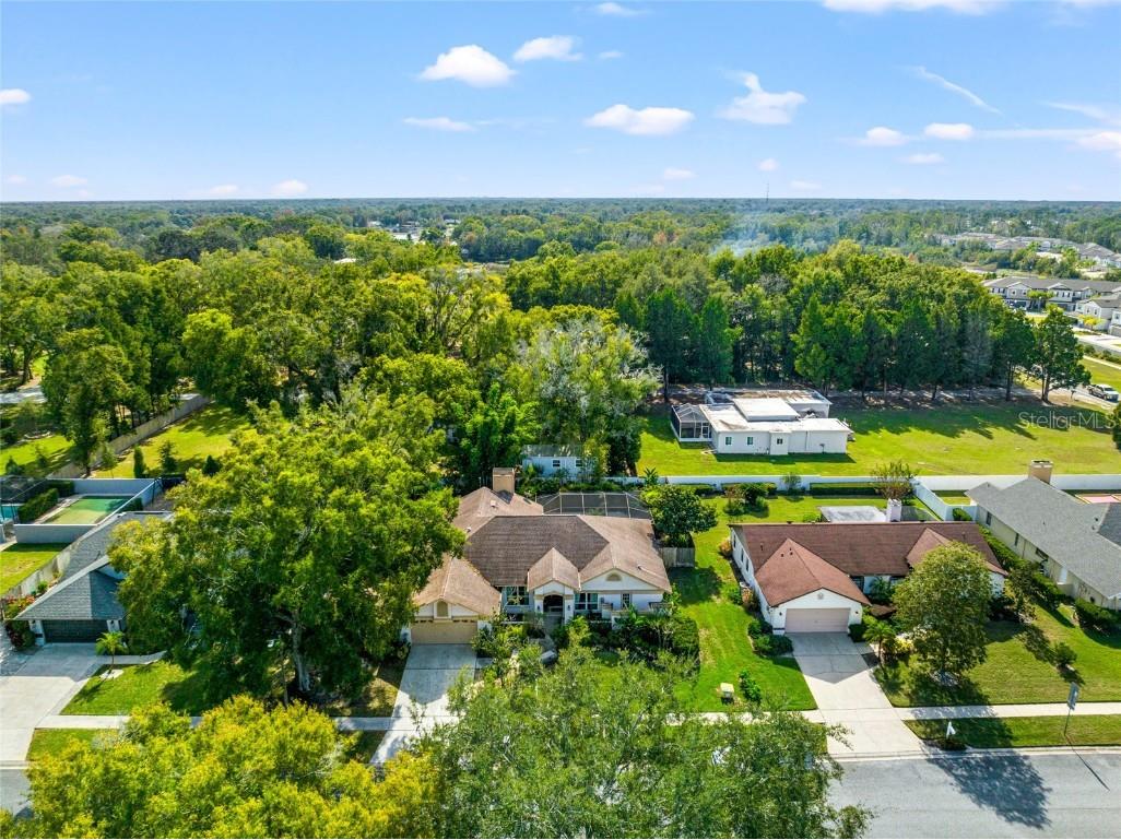 23528 Oakside Boulevard Lutz FL 33559 T3485416 image1