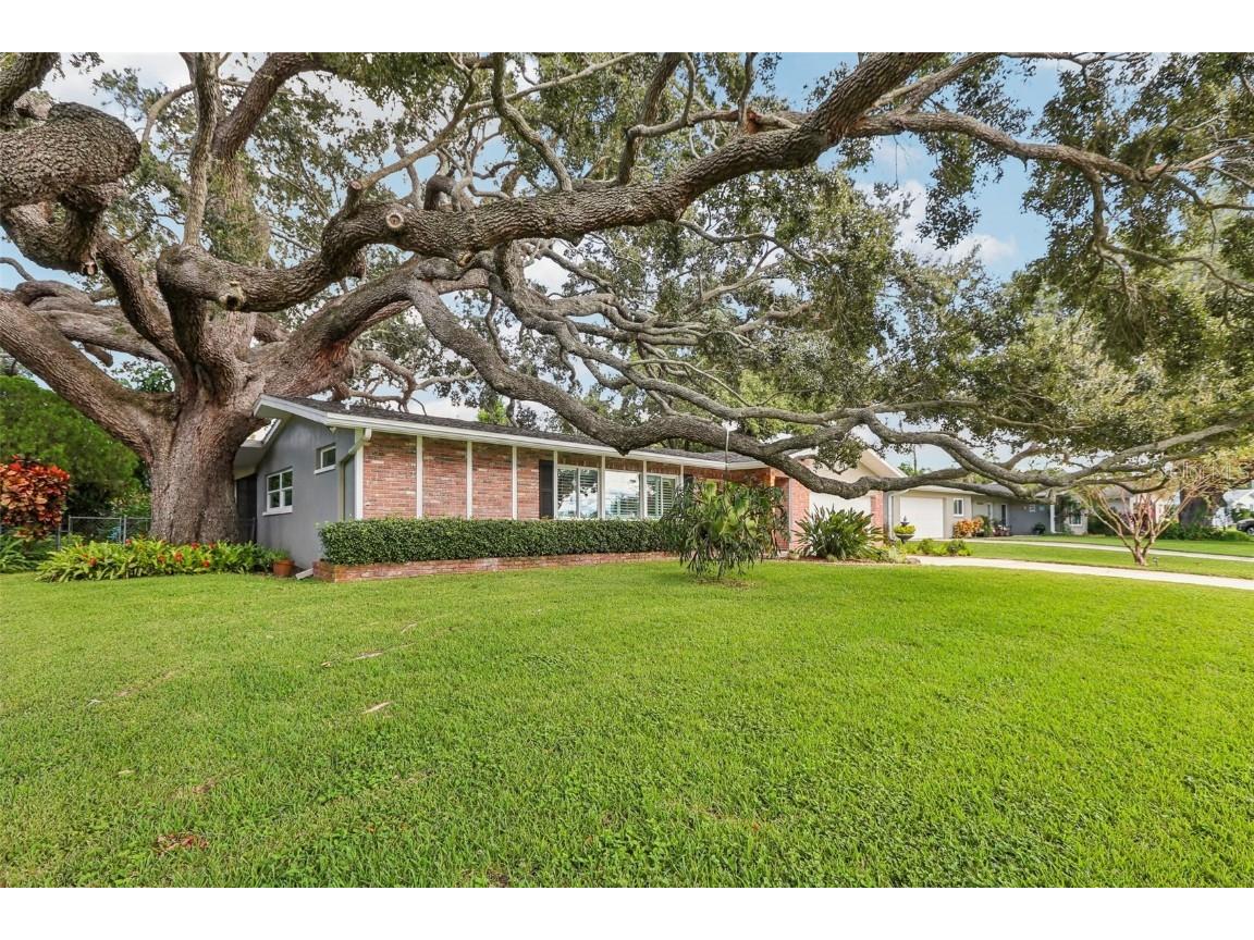 2353 Demaret Drive Dunedin FL 34698 TB8436831 image33