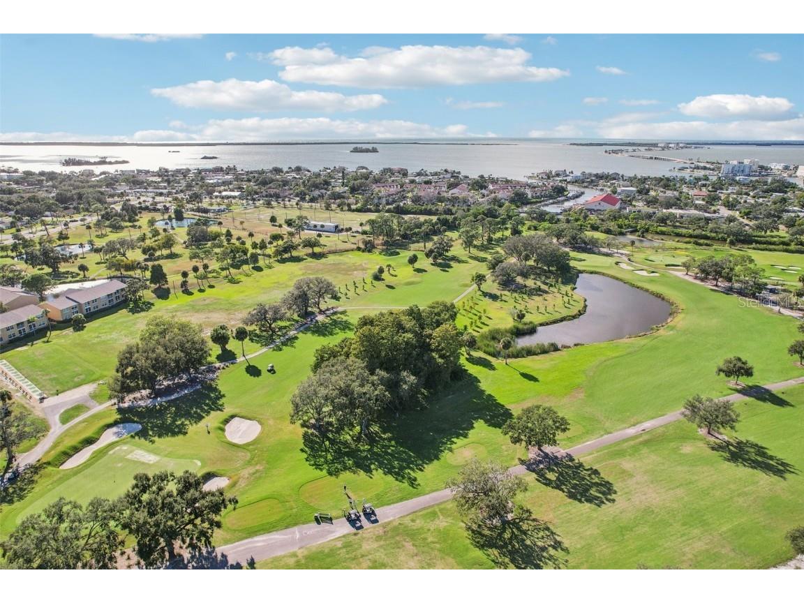 2353 Demaret Drive Dunedin FL 34698 TB8436831 image37