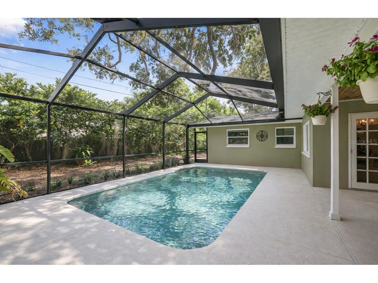 2353 Demaret Drive Dunedin FL 34698 TB8481635 image14