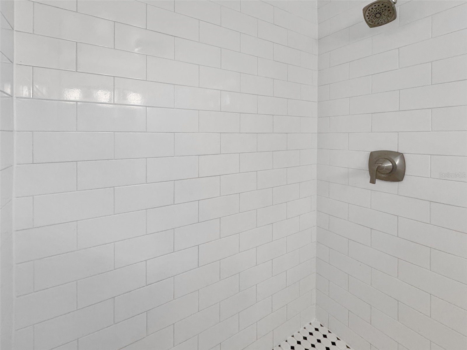 2353 Demaret Drive Dunedin FL 34698 TB8481635 image39