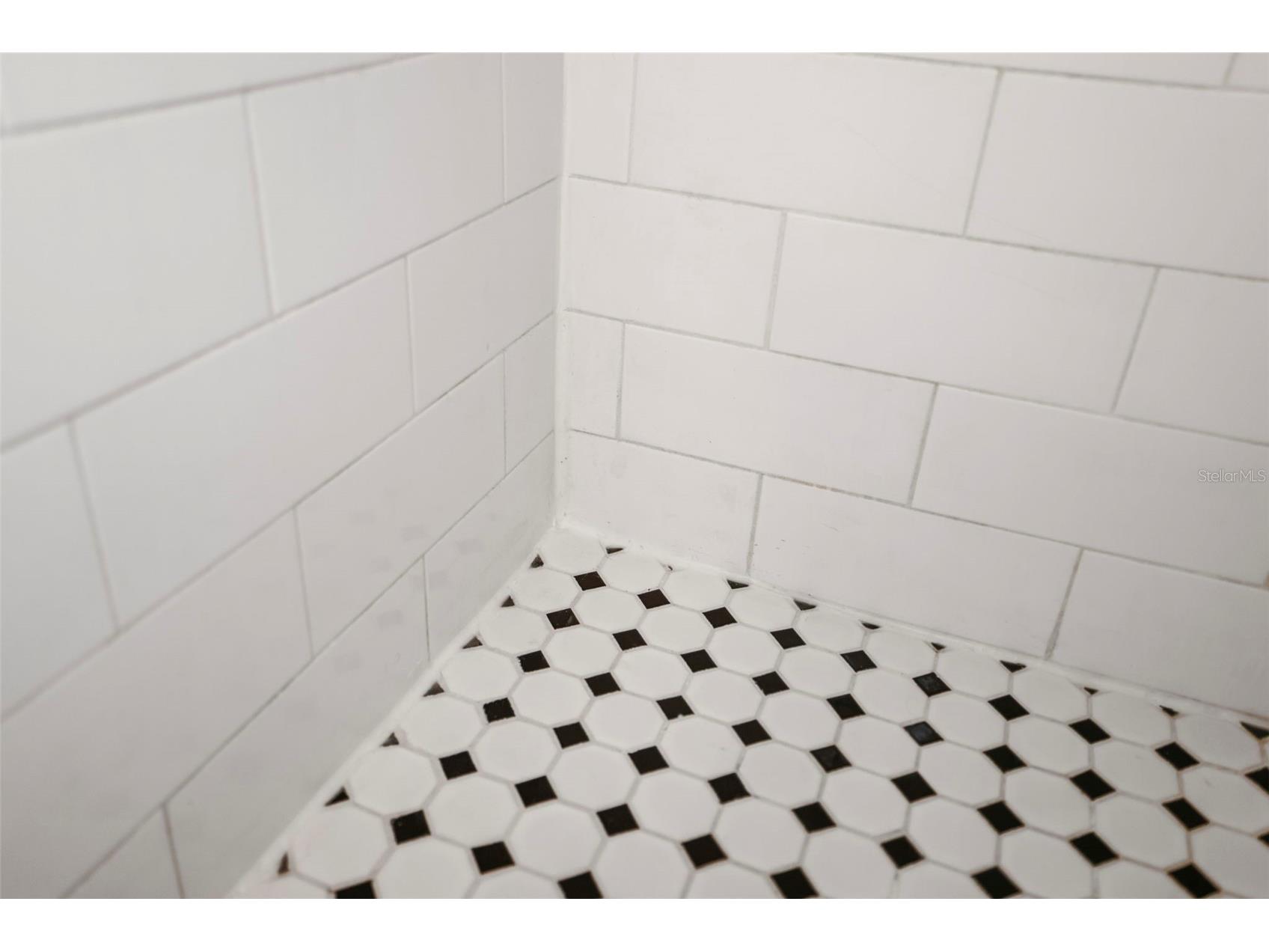 2353 Demaret Drive Dunedin FL 34698 TB8481635 image42