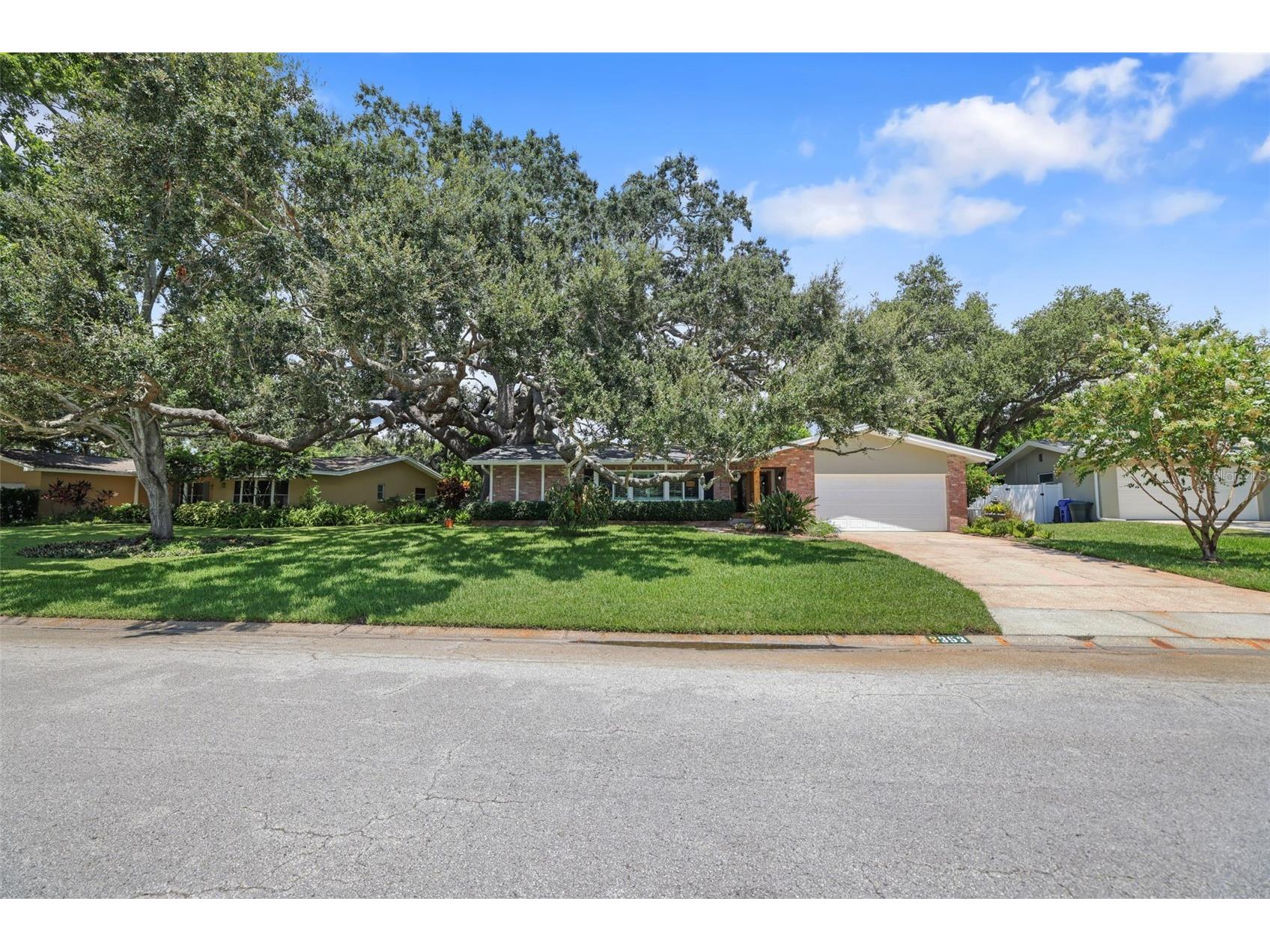 2353 Demaret Drive Dunedin FL 34698 TB8481635 image69