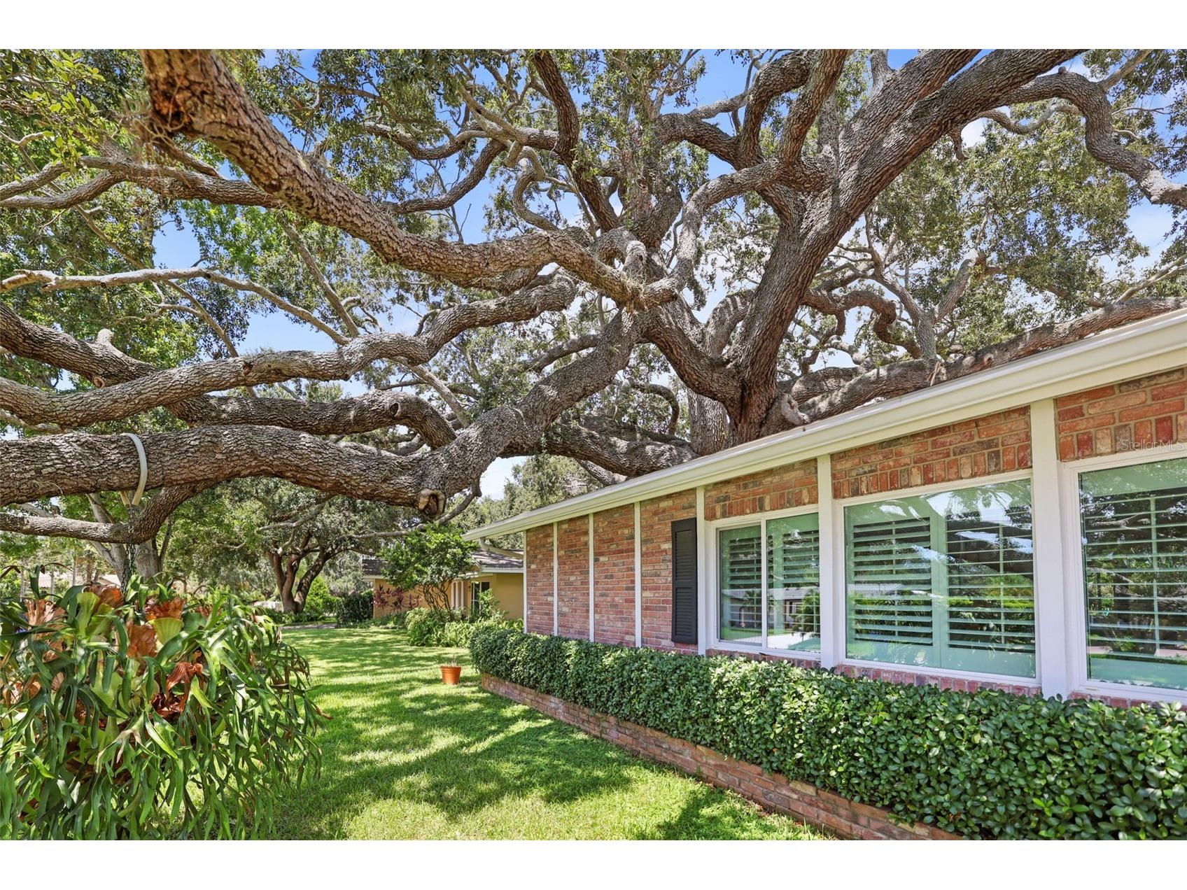 2353 Demaret Drive Dunedin FL 34698 TB8481635 image70