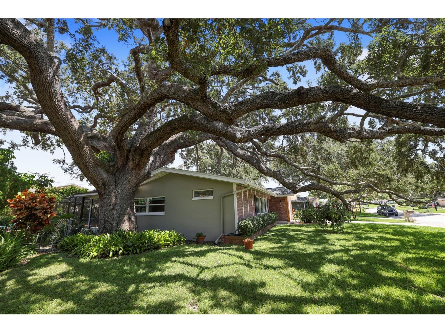 2353 Demaret Drive Dunedin FL 34698 TB8481635 image72