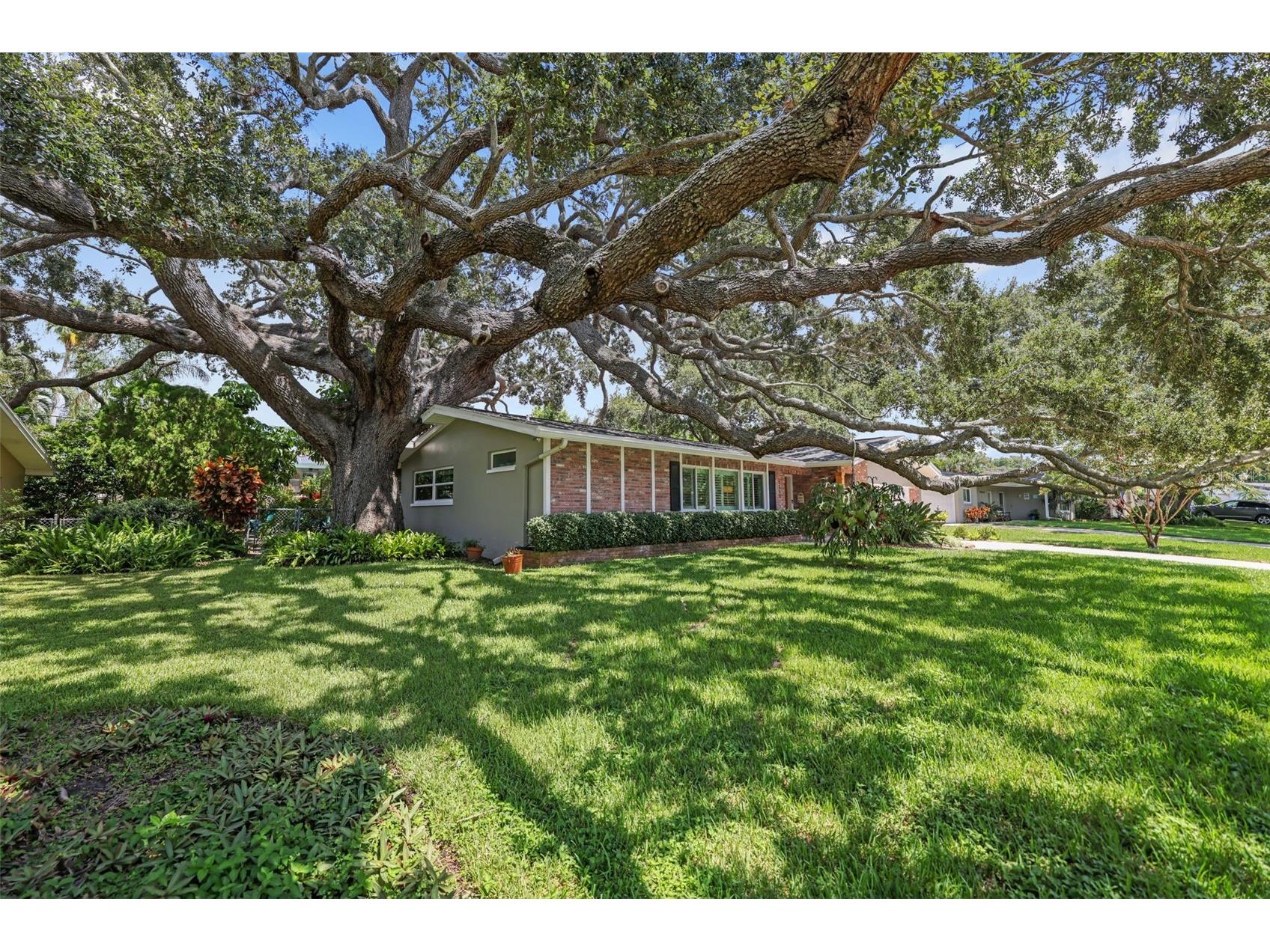 2353 Demaret Drive Dunedin FL 34698 TB8481635 image73