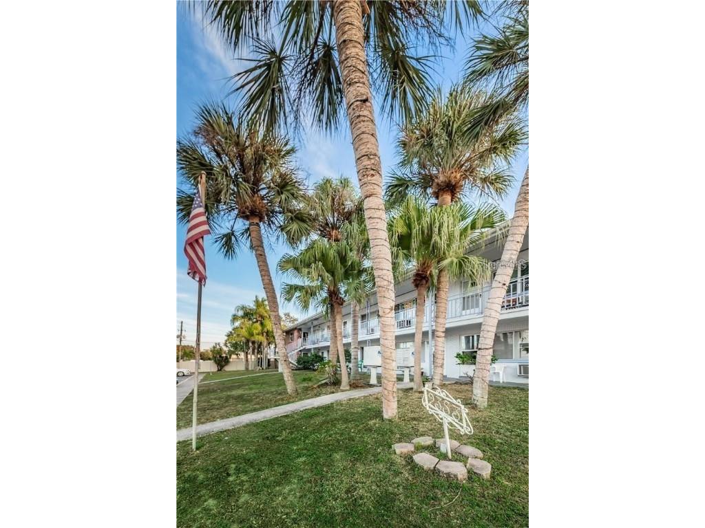 2353 Shelley Street #20 Clearwater FL 33765 U8225563 image1